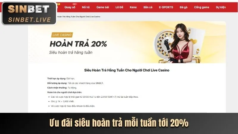 Mẹo chơi casino trực tuyến tại febet6